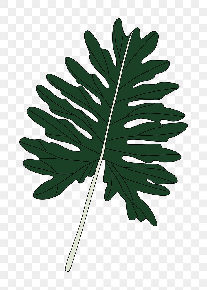 Png Philodendron Xanadu leaf sticker, transparent background