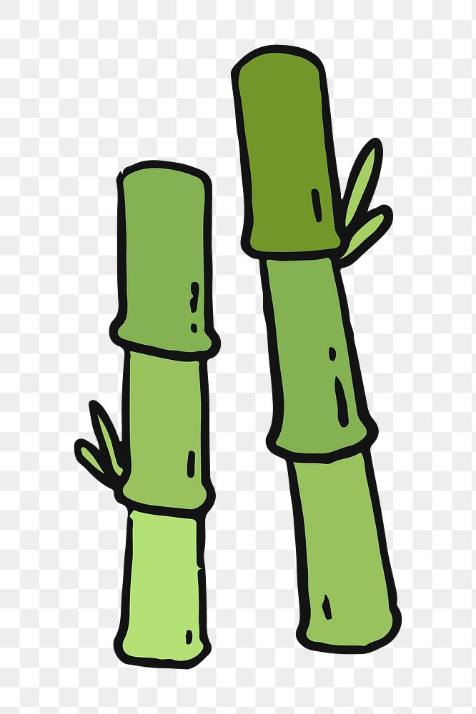 Png  green bamboo doodle  sticker, transparent background