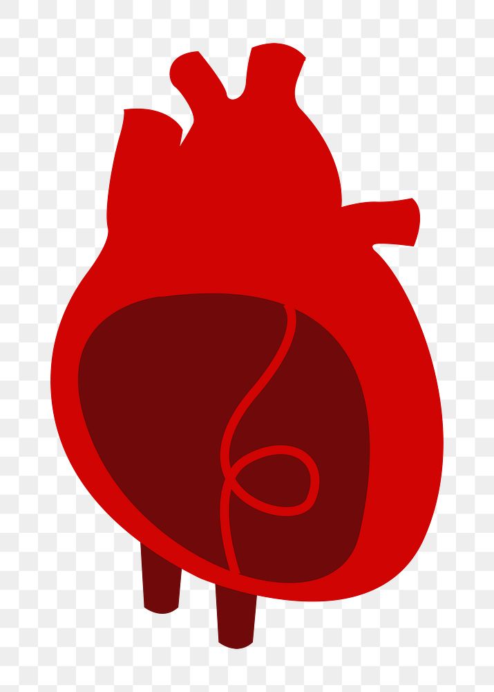 Png cute heart organ illustration, transparent background