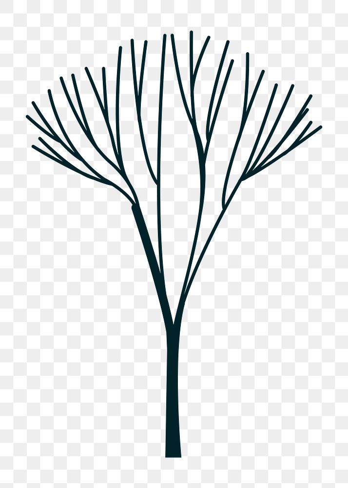 Png winter leafless tree illustration, transparent background