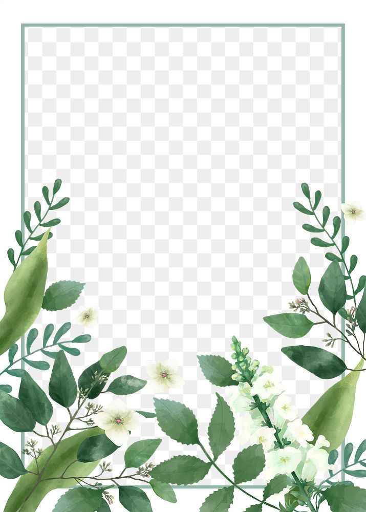 Watercolor leaf png frame, transparent background