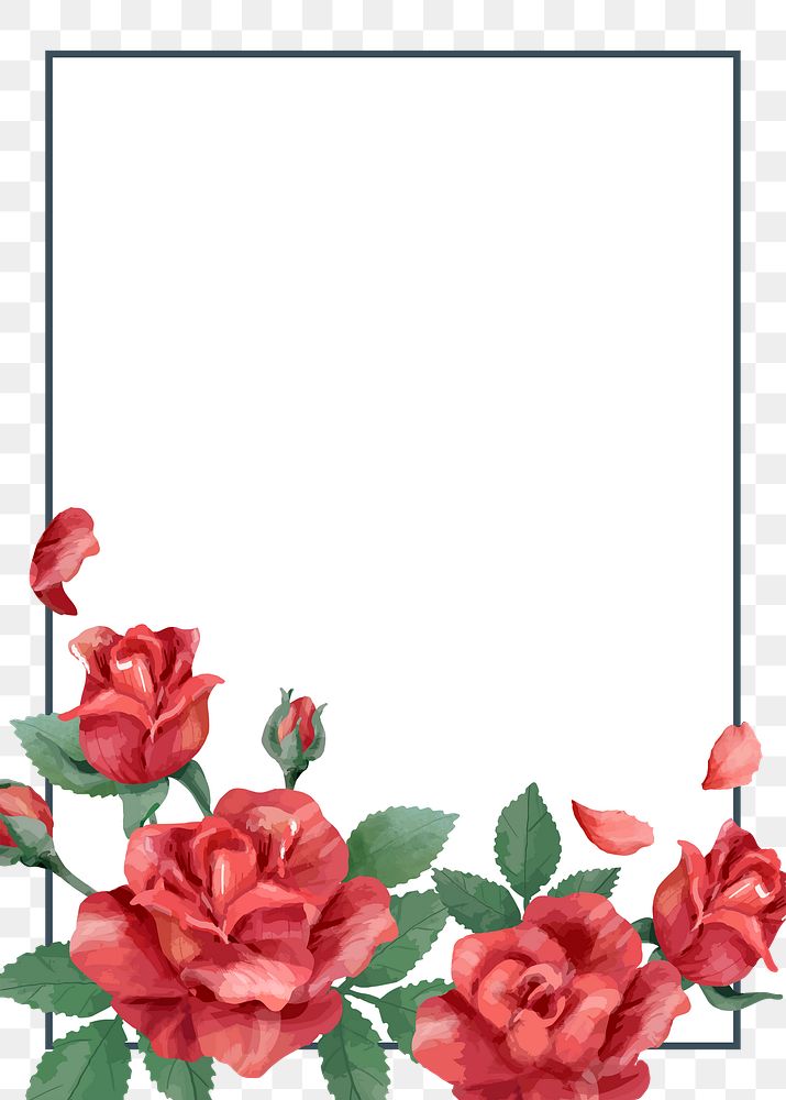 Red rose png frame, transparent background