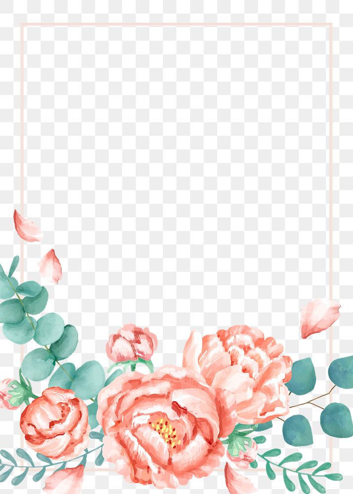 Watercolor rose png frame, transparent background