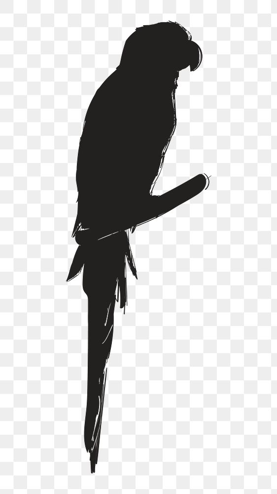 Png parrot silhouette, transparent background