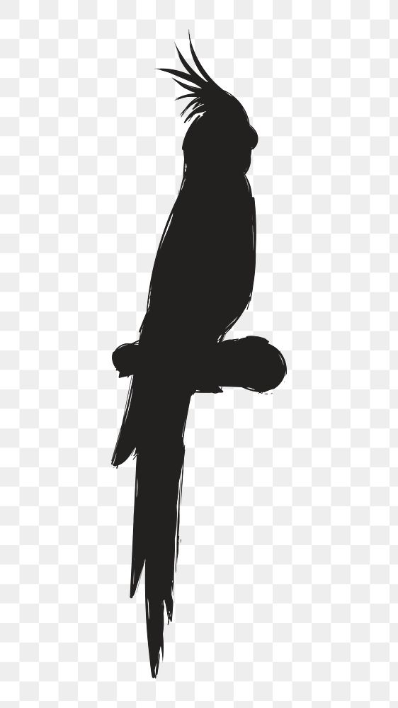 Png black cockatoo silhouette, transparent background
