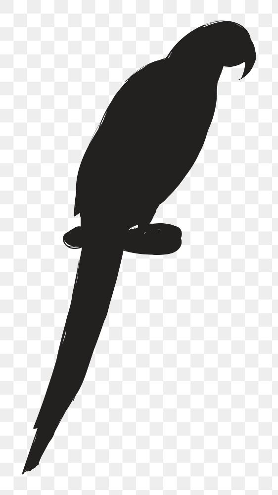 Png black parrot silhouette, transparent background