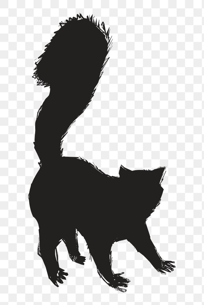 Png terrified cat silhouette, transparent background