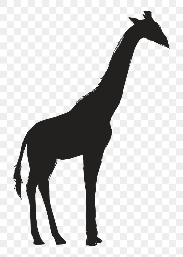 Png giraffe silhouette, transparent background