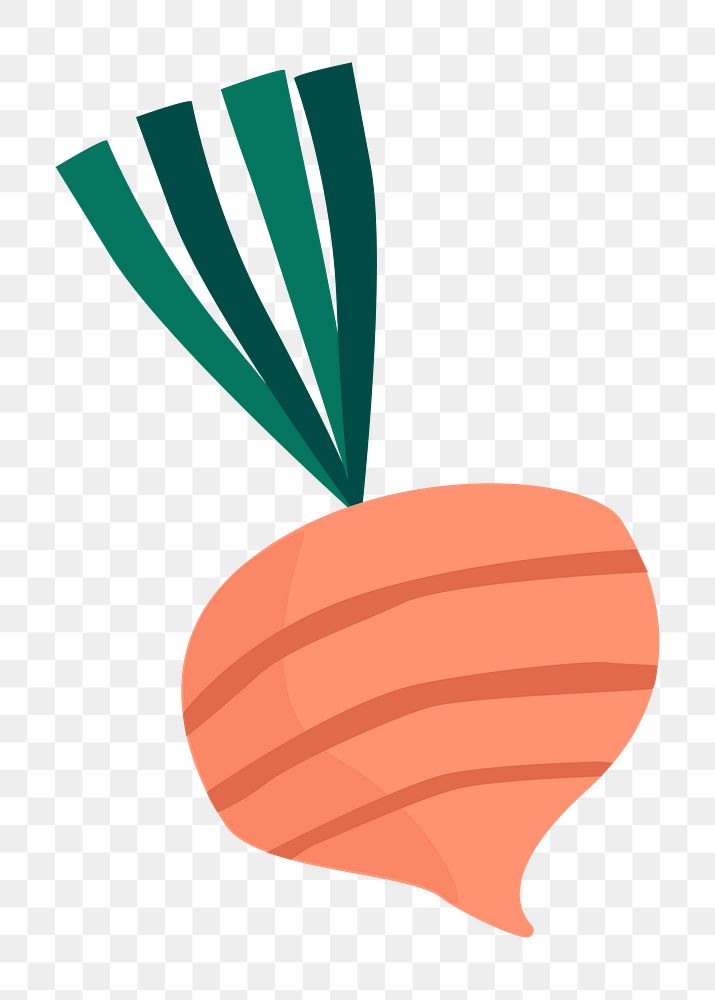 Png organic beet doodle sticker, transparent background