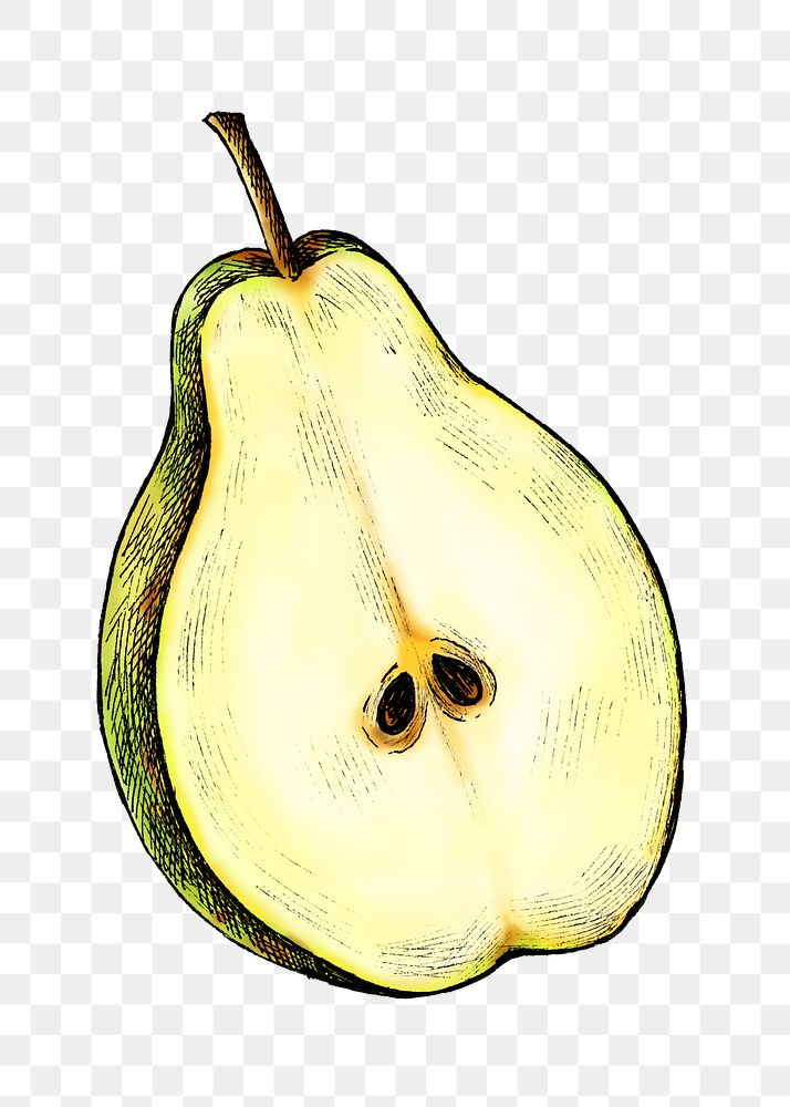 Pear png illustration, transparent background