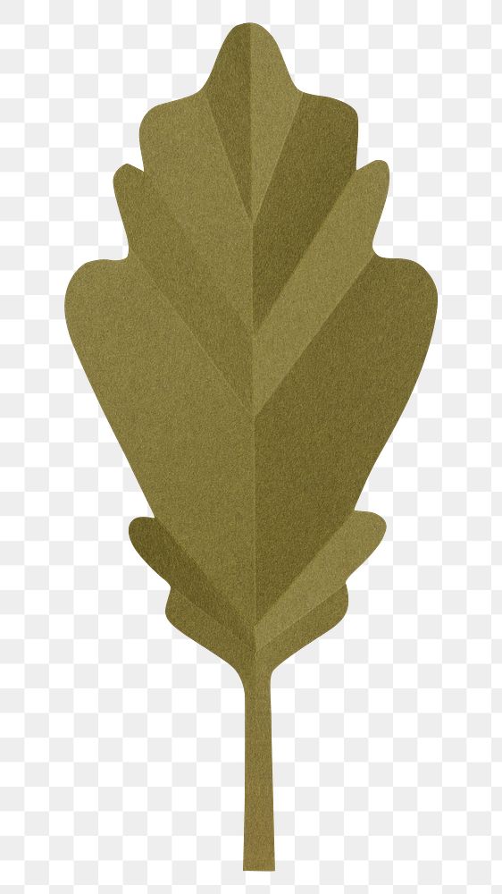 PNG green oak leaf , paper craft element, transparent background