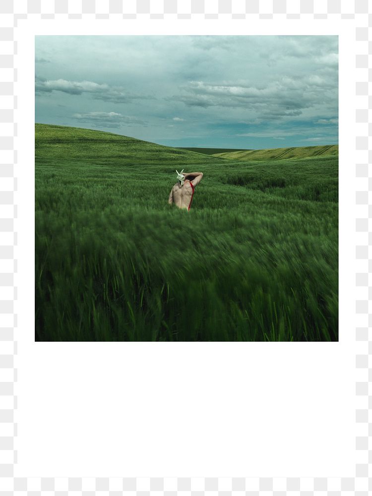 PNG Woman amidst green field instant film frame, transparent background