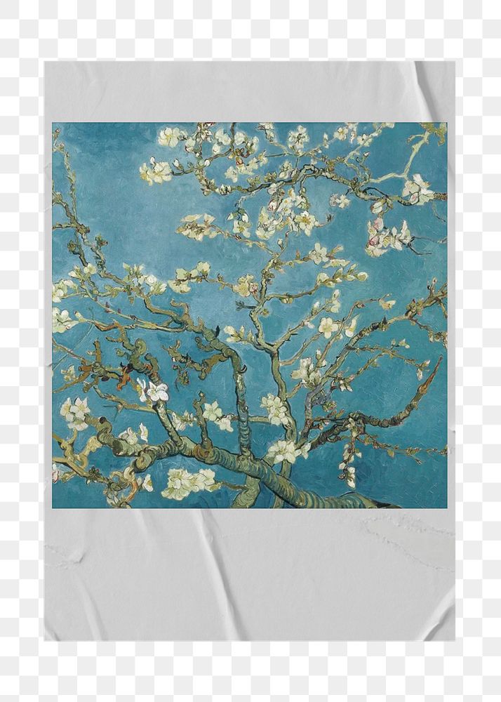 PNG Van Gogh's Almond blossom instant film frame, transparent background.  Remixed by rawpixel.