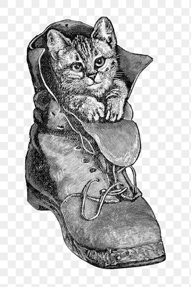 Cat in a boot png, funny animal vintage illustration, transparent background. Remixed by rawpixel.