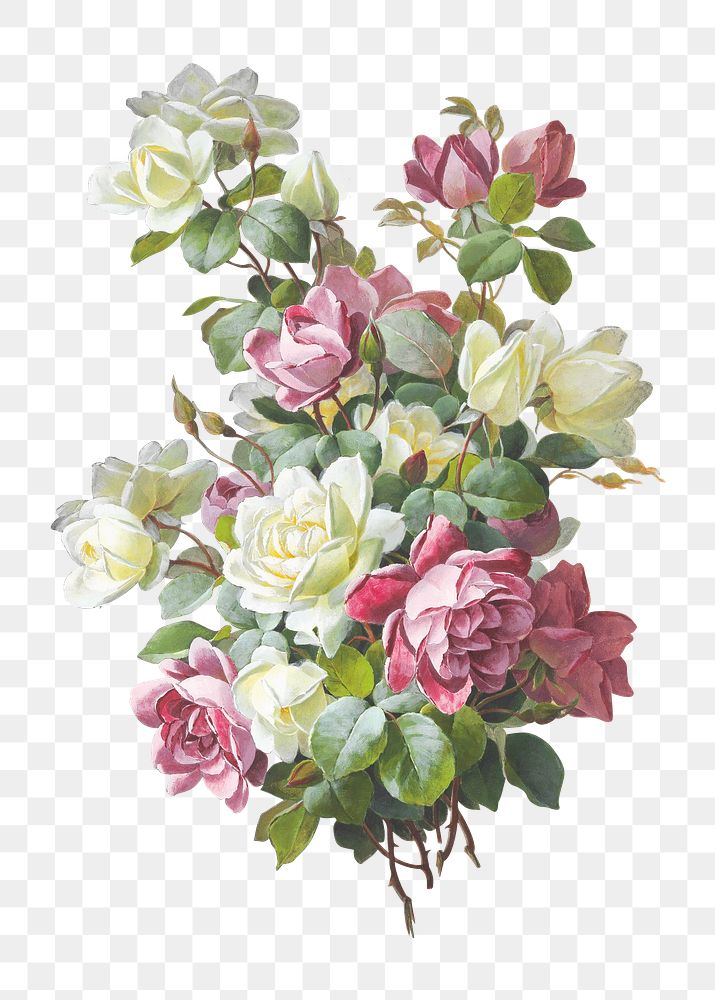 Rose flower bouquet png, vintage illustration by Paul de Longpré, transparent background. Remixed by rawpixel.