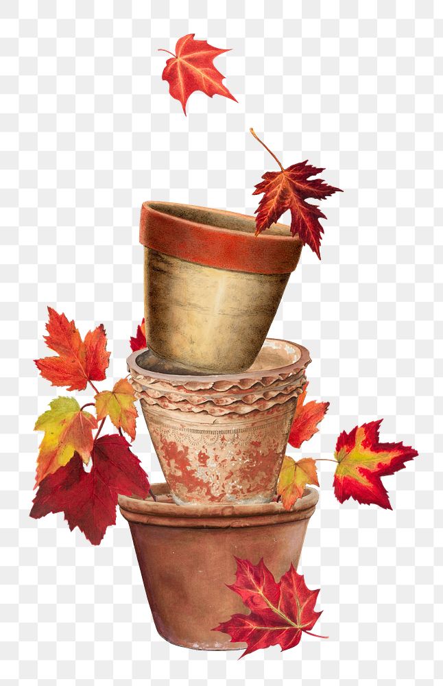 Autumn pots png sticker, transparent background