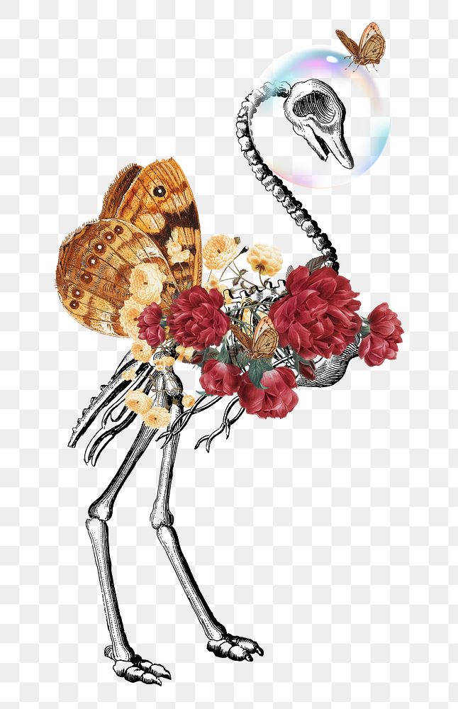 Surreal bird skeleton png sticker, flower collage, transparent background