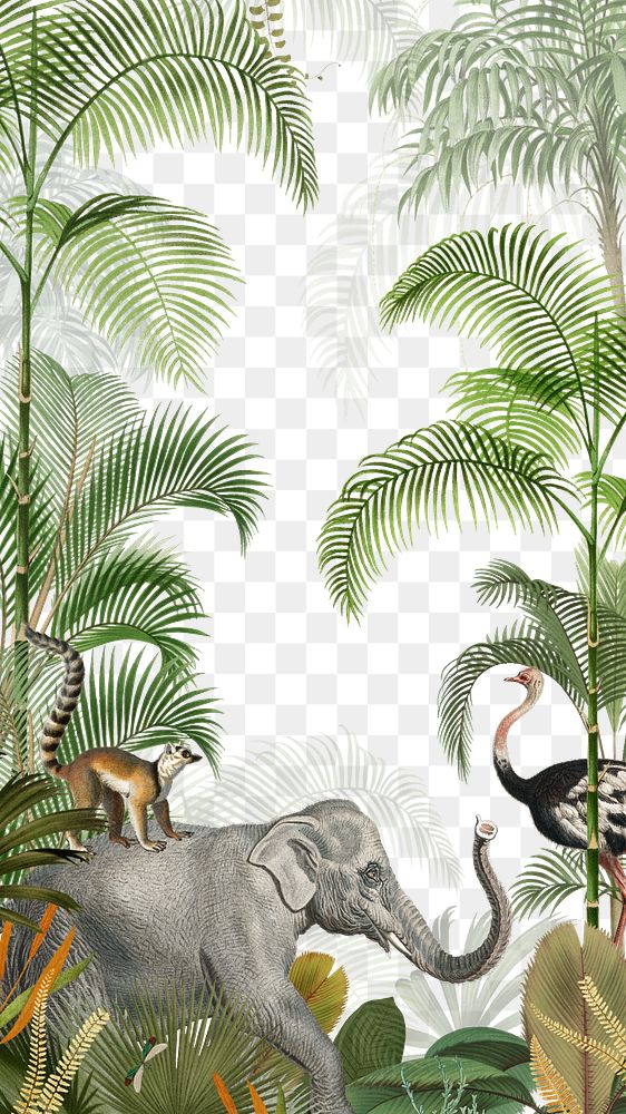 Wild elephant png jungle, transparent background