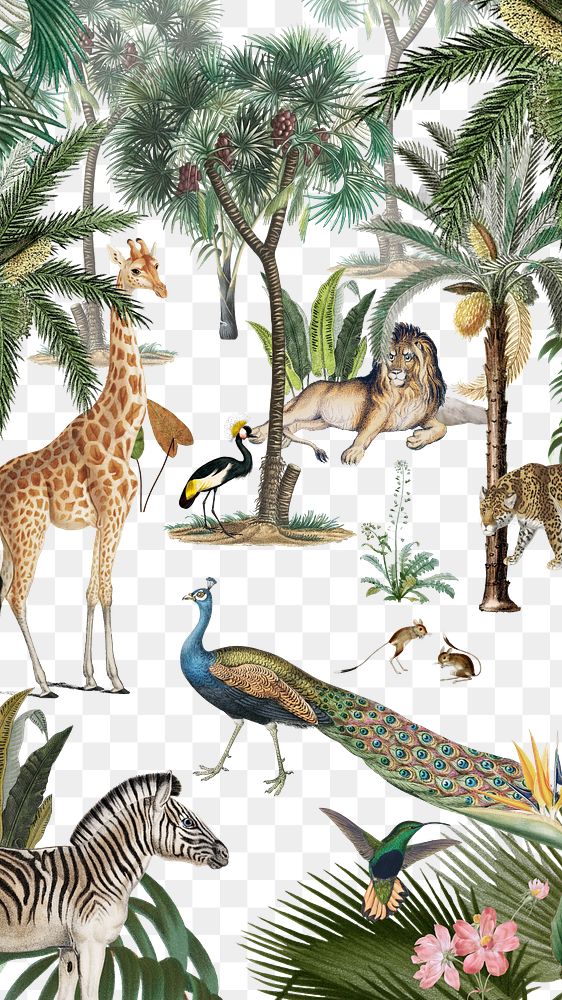 Wild animals png pattern, transparent background
