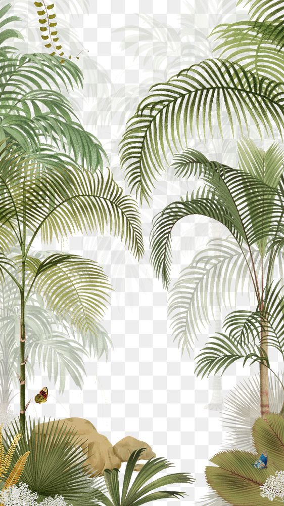 Palm tree png jungle, transparent background
