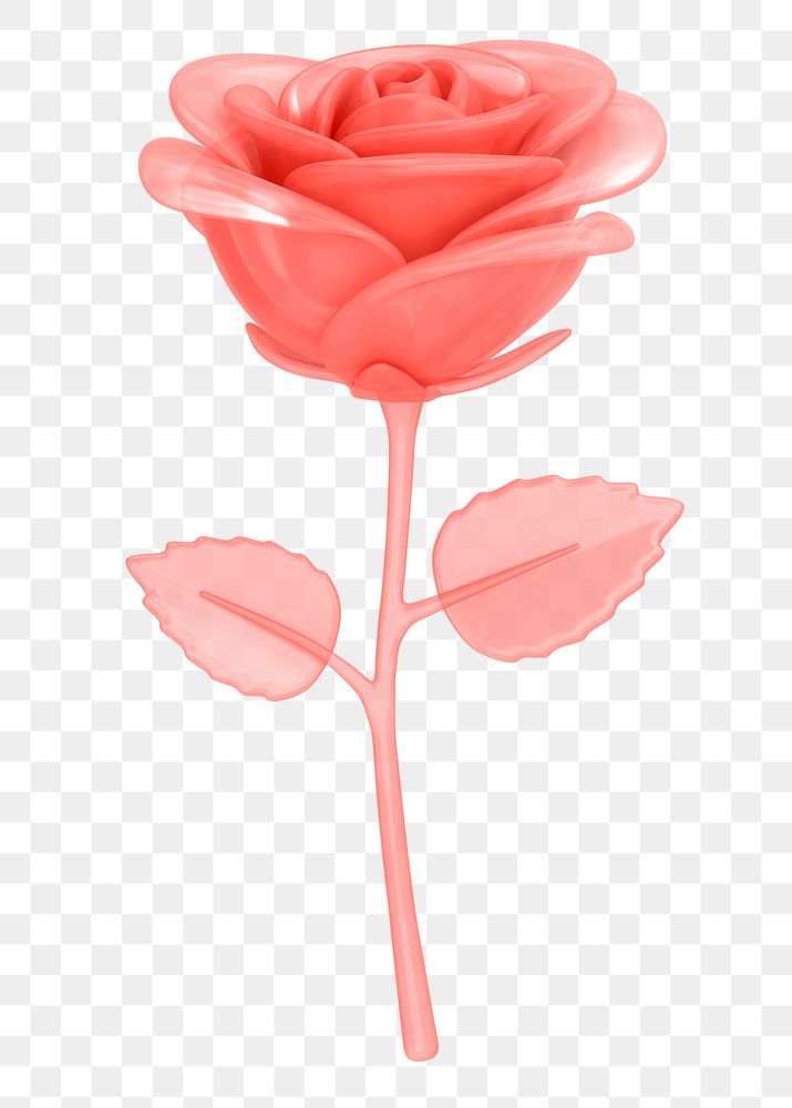 Red rose png flower, 3D illustration, transparent background