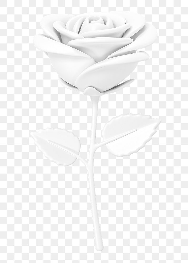 White rose png flower, 3D illustration, transparent background