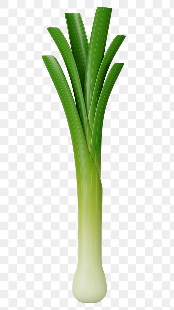 PNG 3D spring onion vegetable, element illustration, transparent background