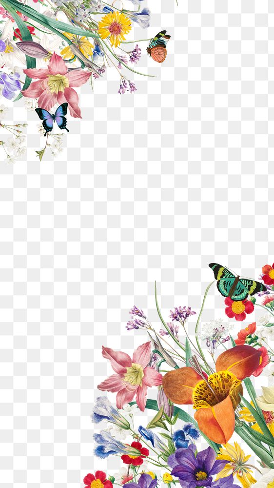 Spring flower border png, transparent background