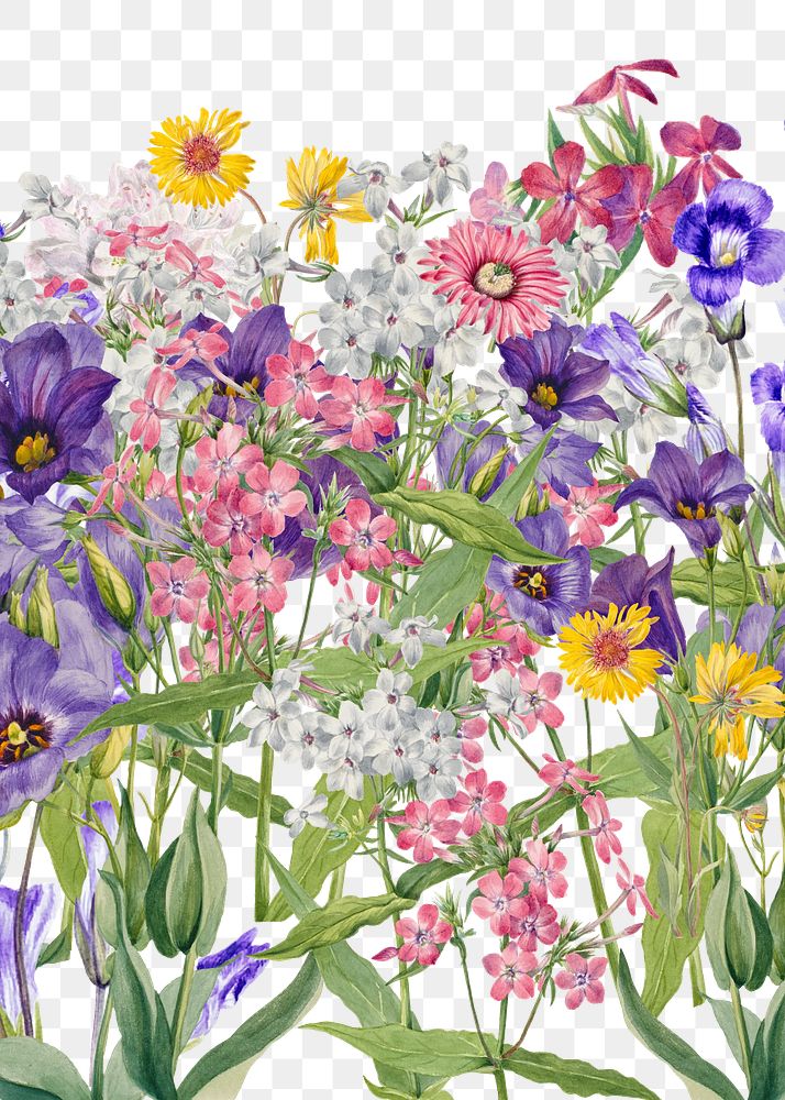 Aesthetic purple flowers png, transparent background