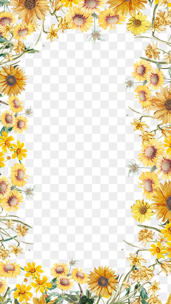 Spring sunflower png frame, transparent background