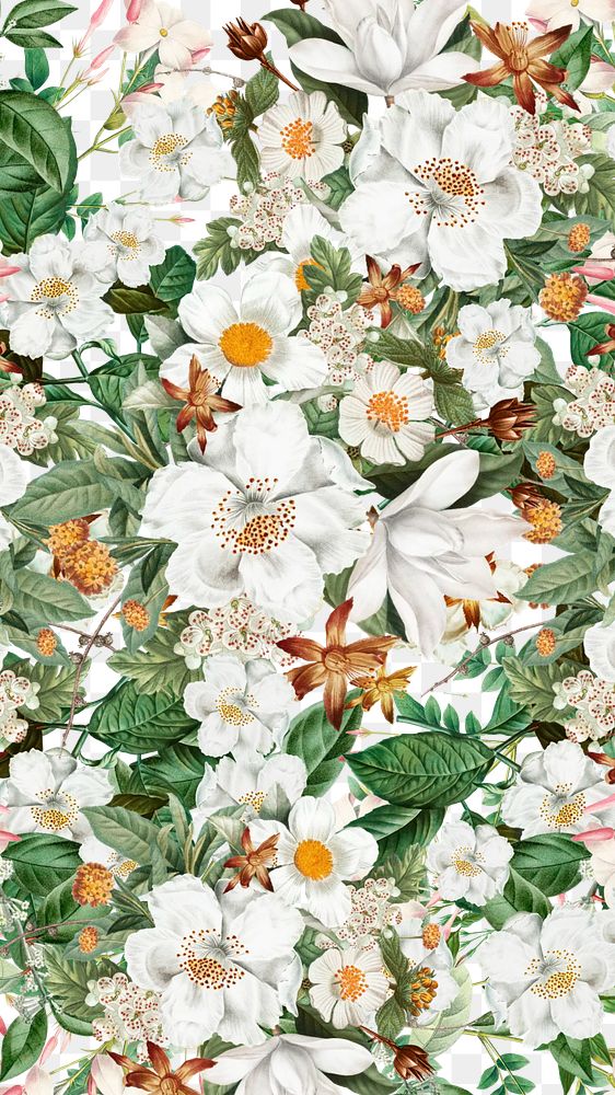 White flowers png vintage border, transparent background