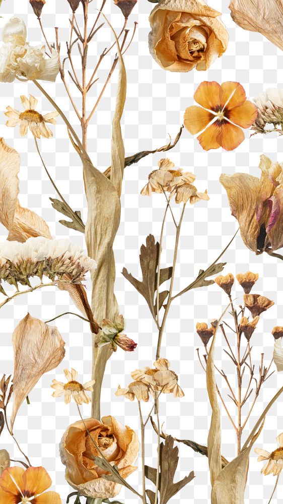 Aesthetic Autumn flower png seasonal botanical, transparent background
