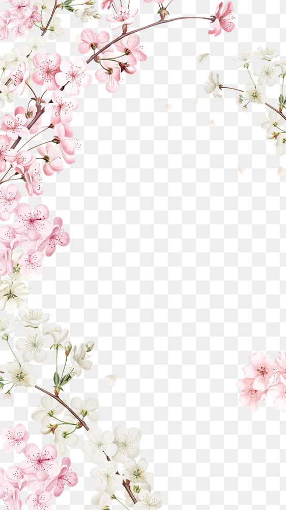 Spring cherry blossom png border, transparent background