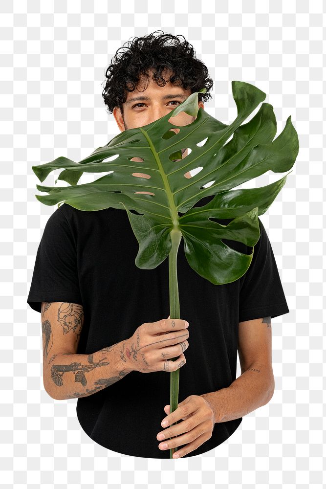 Png man holding monstera leaf, transparent background