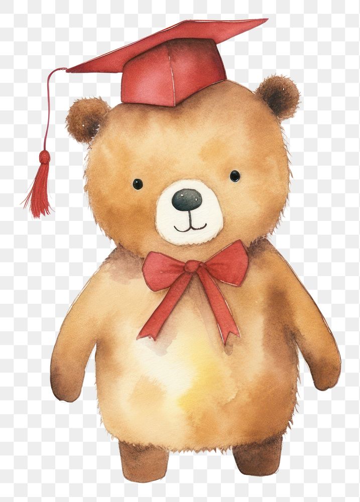 PNG Teacher bear cartoon toy  