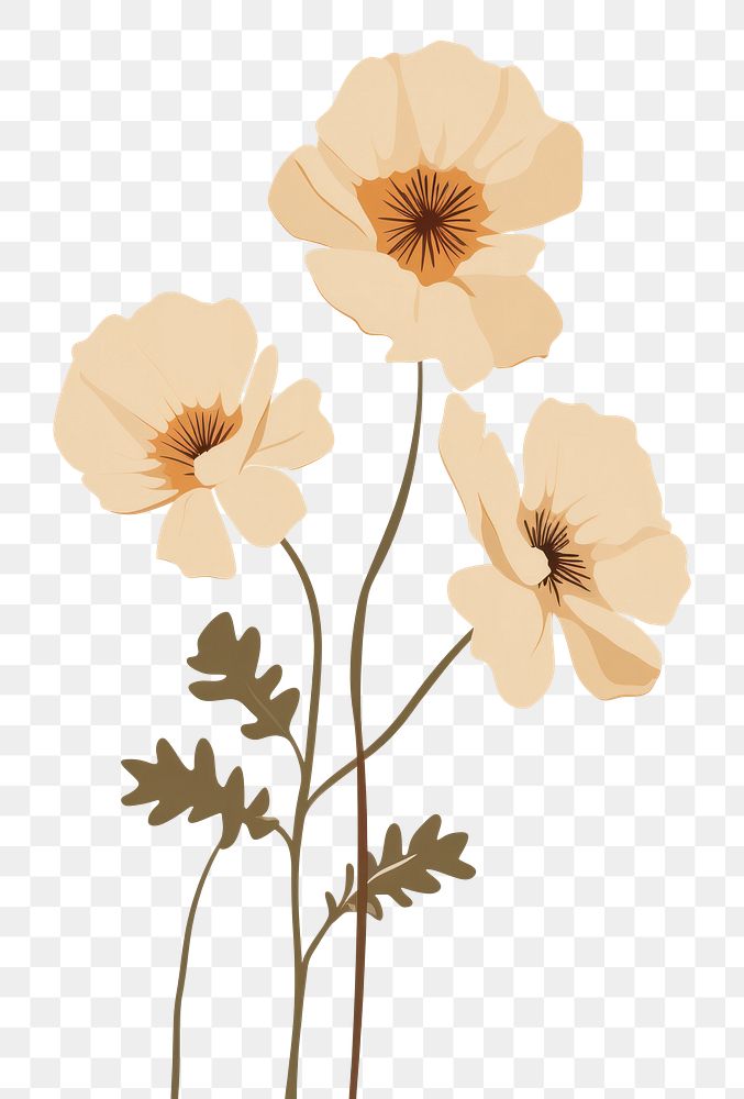 PNG Wildflower plant petal art. AI generated Image by rawpixel.