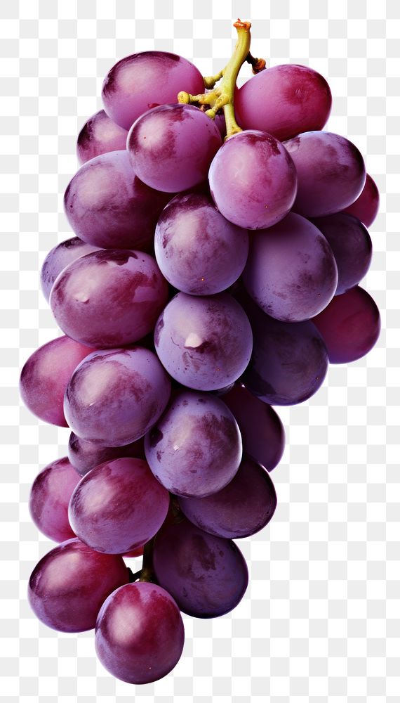 PNG Grapes bunch purple fruit plant. AI generated Image by rawpixel.