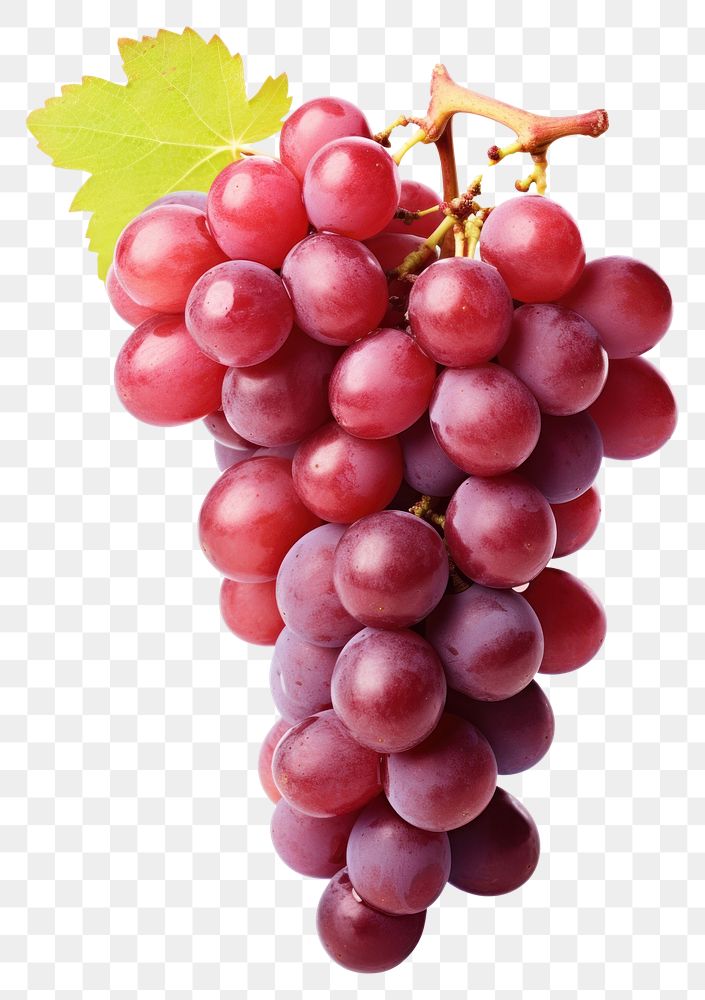PNG Grapes bunch fruit plant food. AI generated Image by rawpixel.