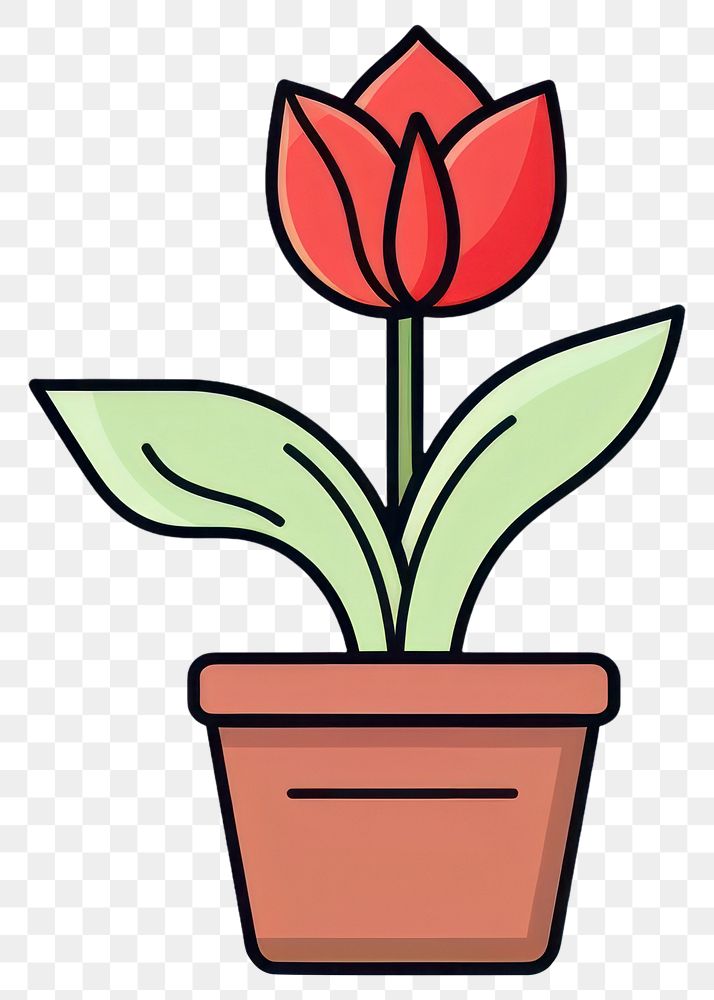 PNG  Tulip flower plant line. AI generated Image by rawpixel.
