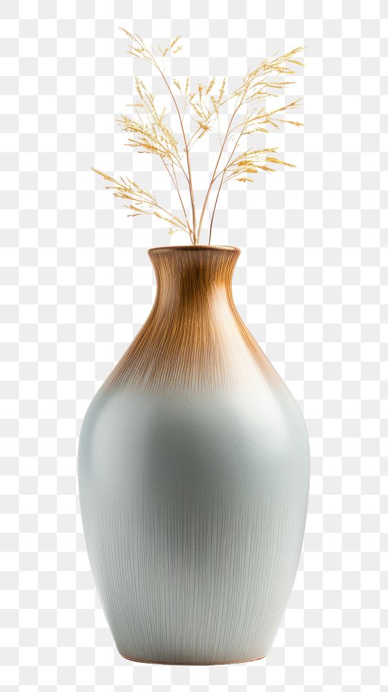PNG  Vase plant  decoration. 