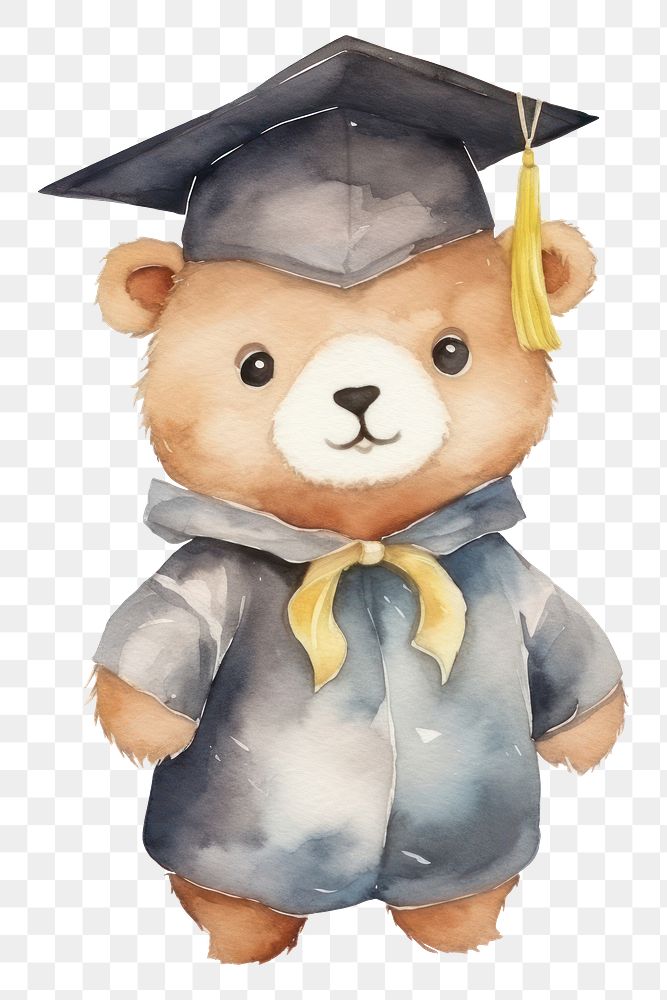 PNG Bear graduation education toy. 