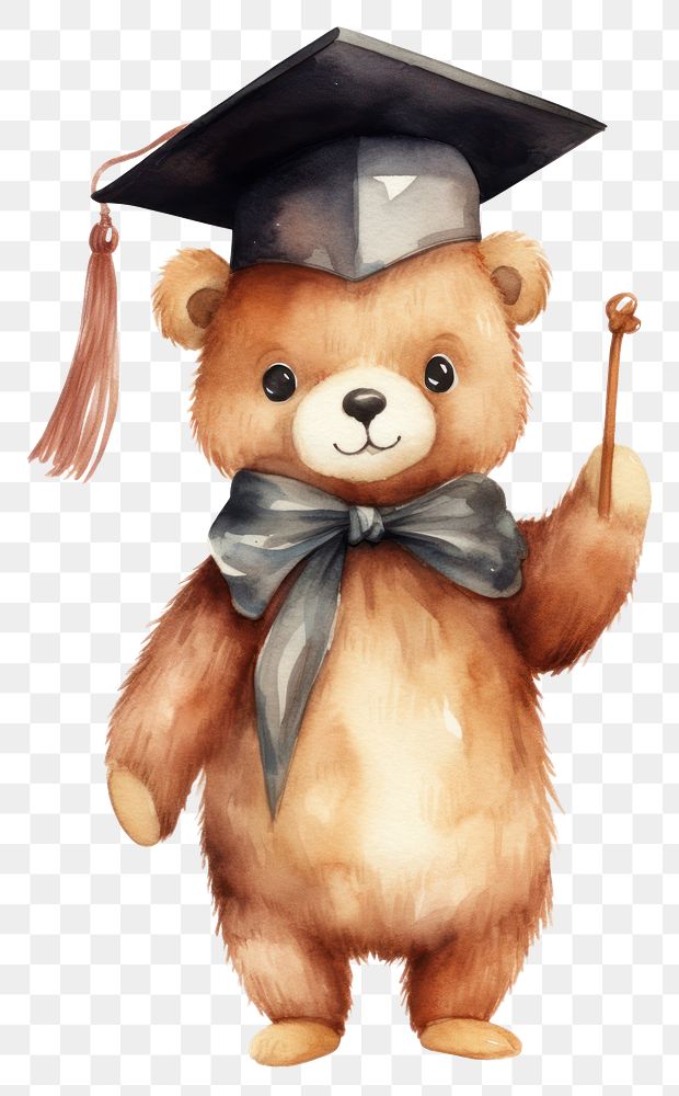 PNG Bear graduation mammal animal. AI generated Image by rawpixel.