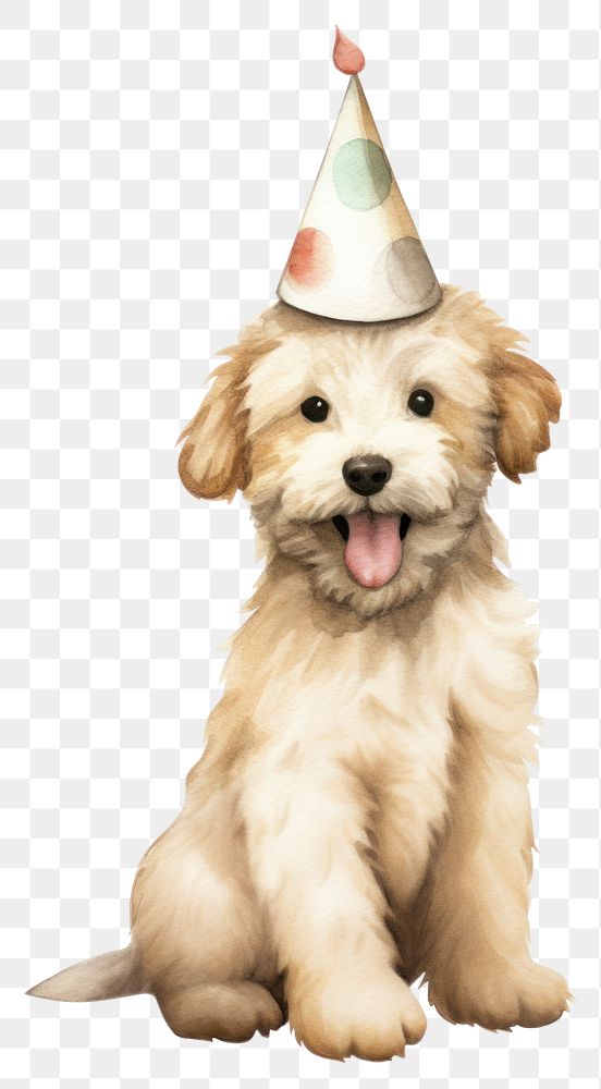 PNG Party hat character Labradoodle puppy cartoon. AI generated Image by rawpixel.