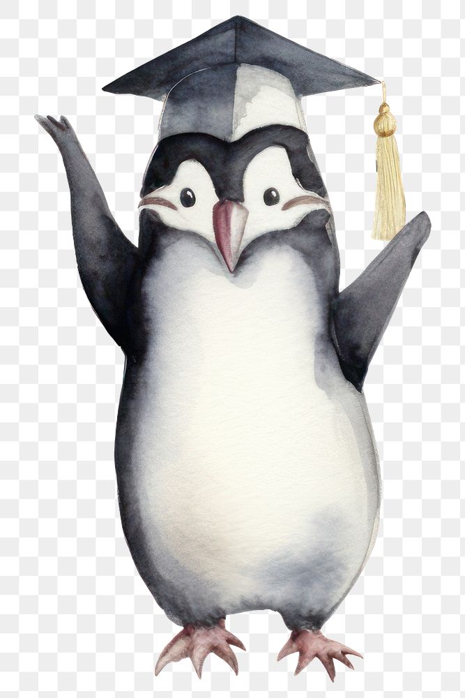 PNG Penguins animal graduation bird. AI generated Image by rawpixel.