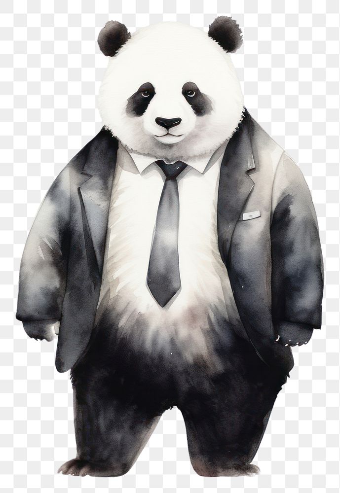 PNG Mammal panda bear representation. 