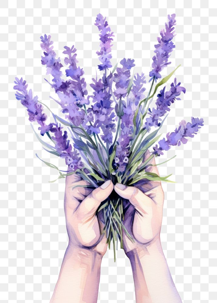 PNG handful of lavender transparent background