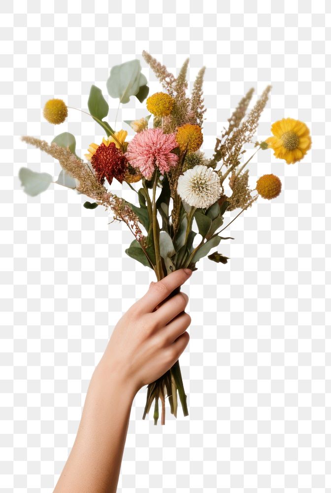 PNG  Hands holding flower arrangement plant white background celebration