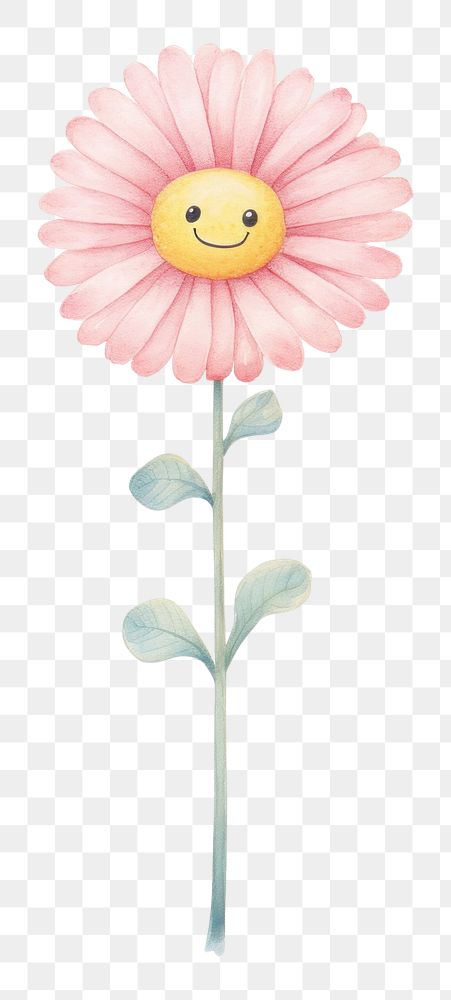 PNG Flower petal daisy plant. AI generated Image by rawpixel.