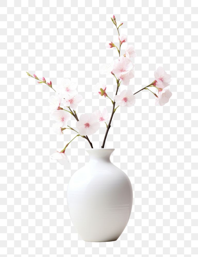 PNG Blossom vase flower plant. AI generated Image by rawpixel.
