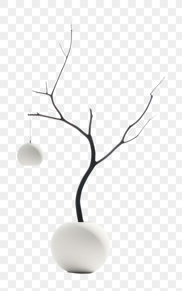 PNG  Plant white vase lamp. AI generated Image by rawpixel.